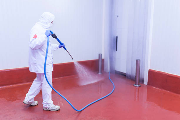 Best Paint Preparation  in Hydesville, CA